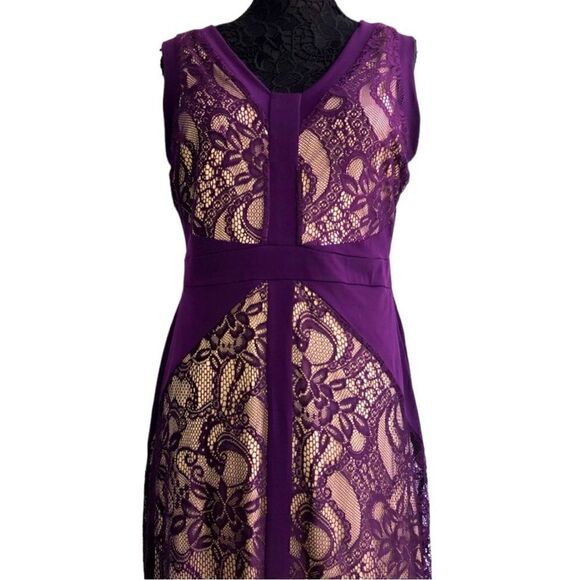CARDLETTE PETITE Purple Lace Nude Lining Maxi Dress Petite XL - Picture 2 of 5
